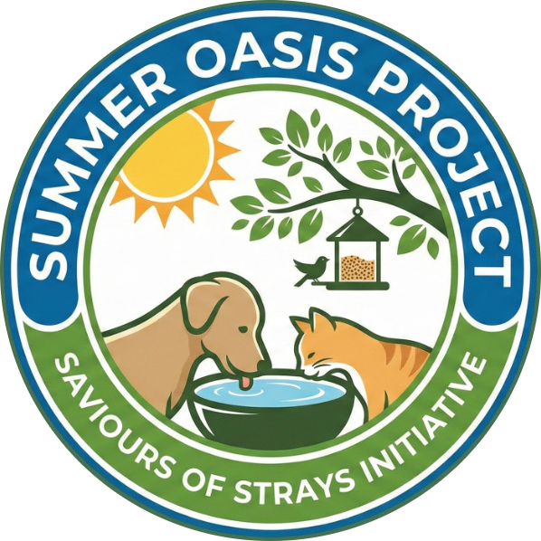 Summer Oasis Project