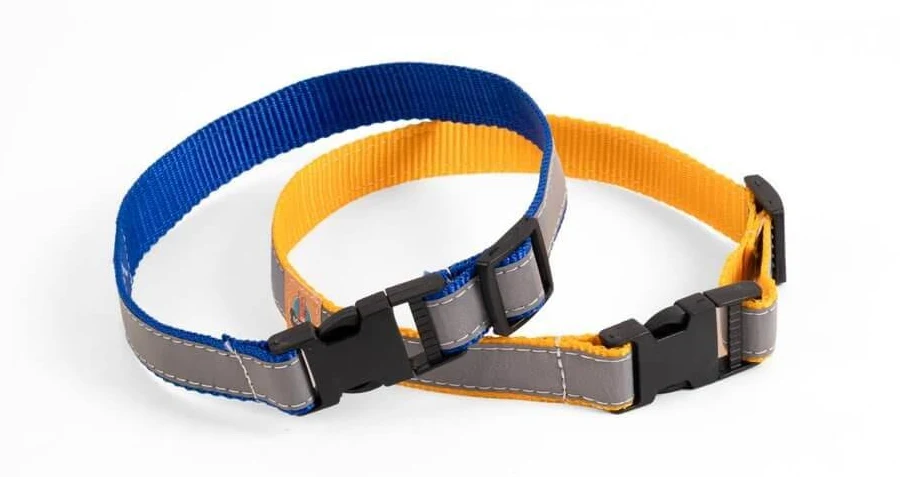 Reflective Collar 2