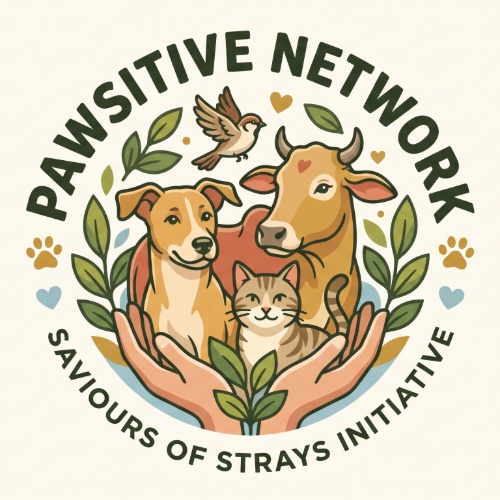 Pawsitive Network